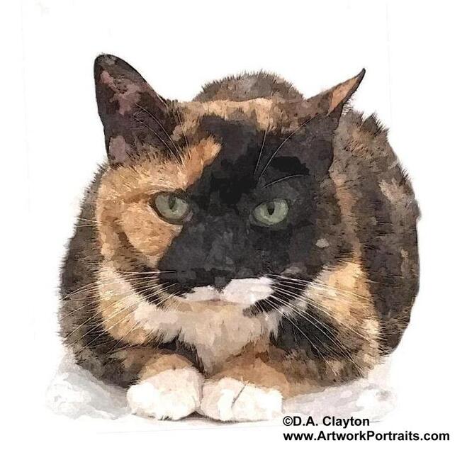 cat portrait 